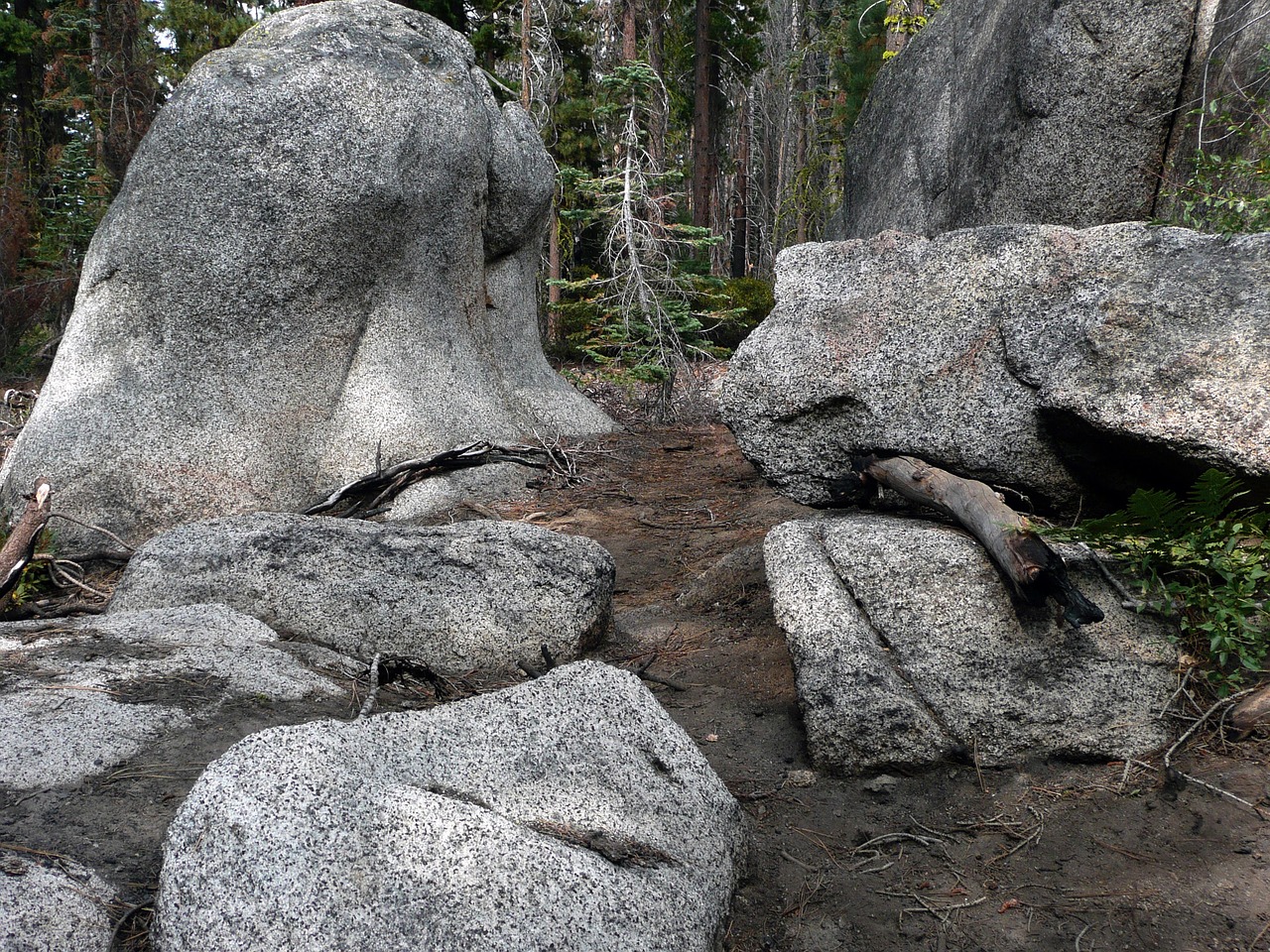 Exploring the Stunning Landscapes of Yosemite National Park